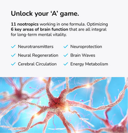 Mind Lab Pro® v4  Universal Nootropic™